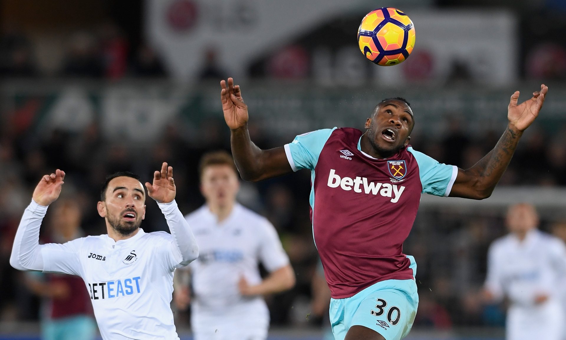 发展的适应 发展的适应