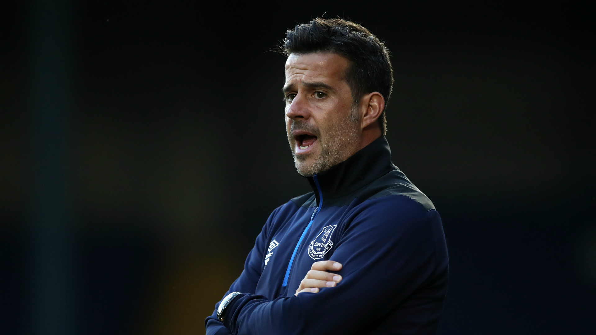 这些都是导 这些都是导